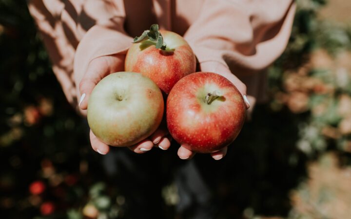 person holding three red apple fruits