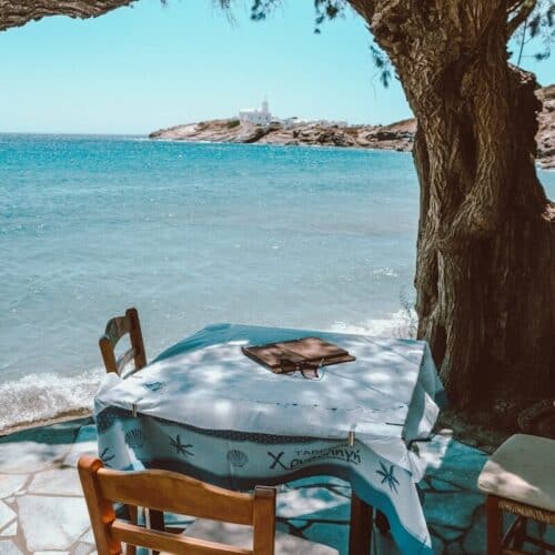 A table and chairs under a tree near the water