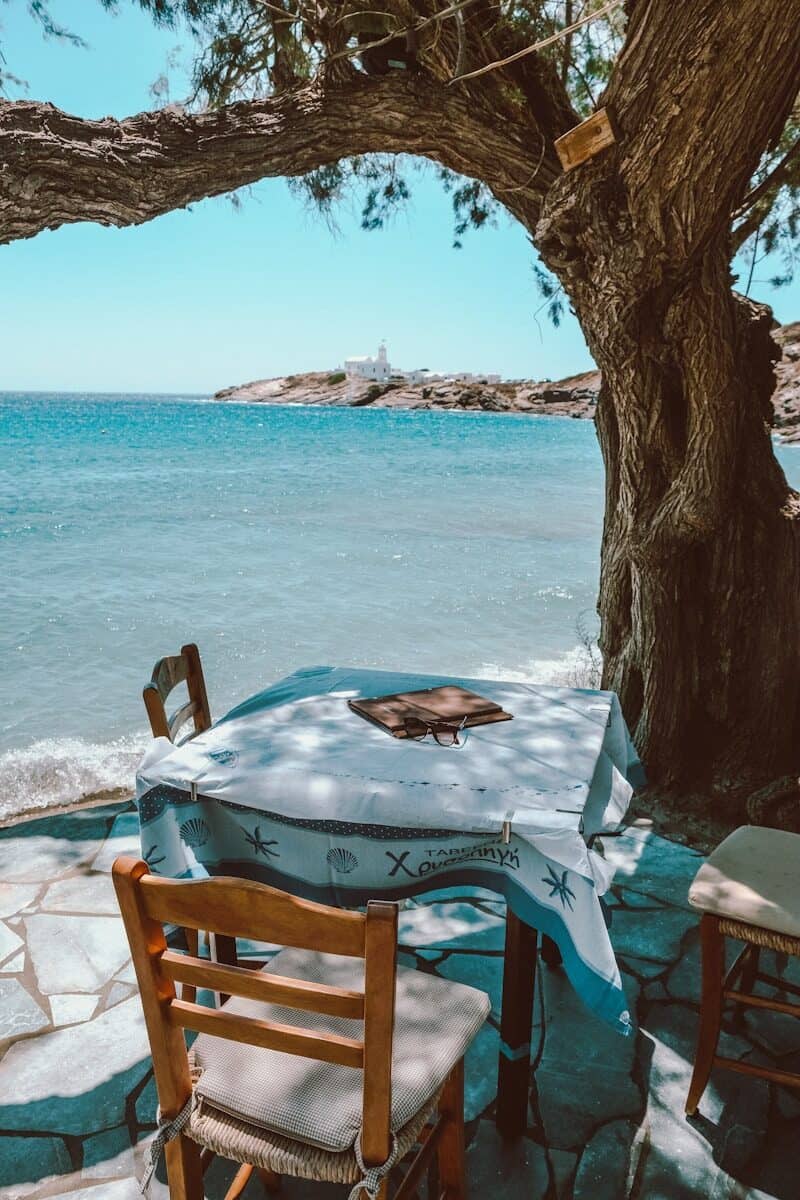 A table and chairs under a tree near the water